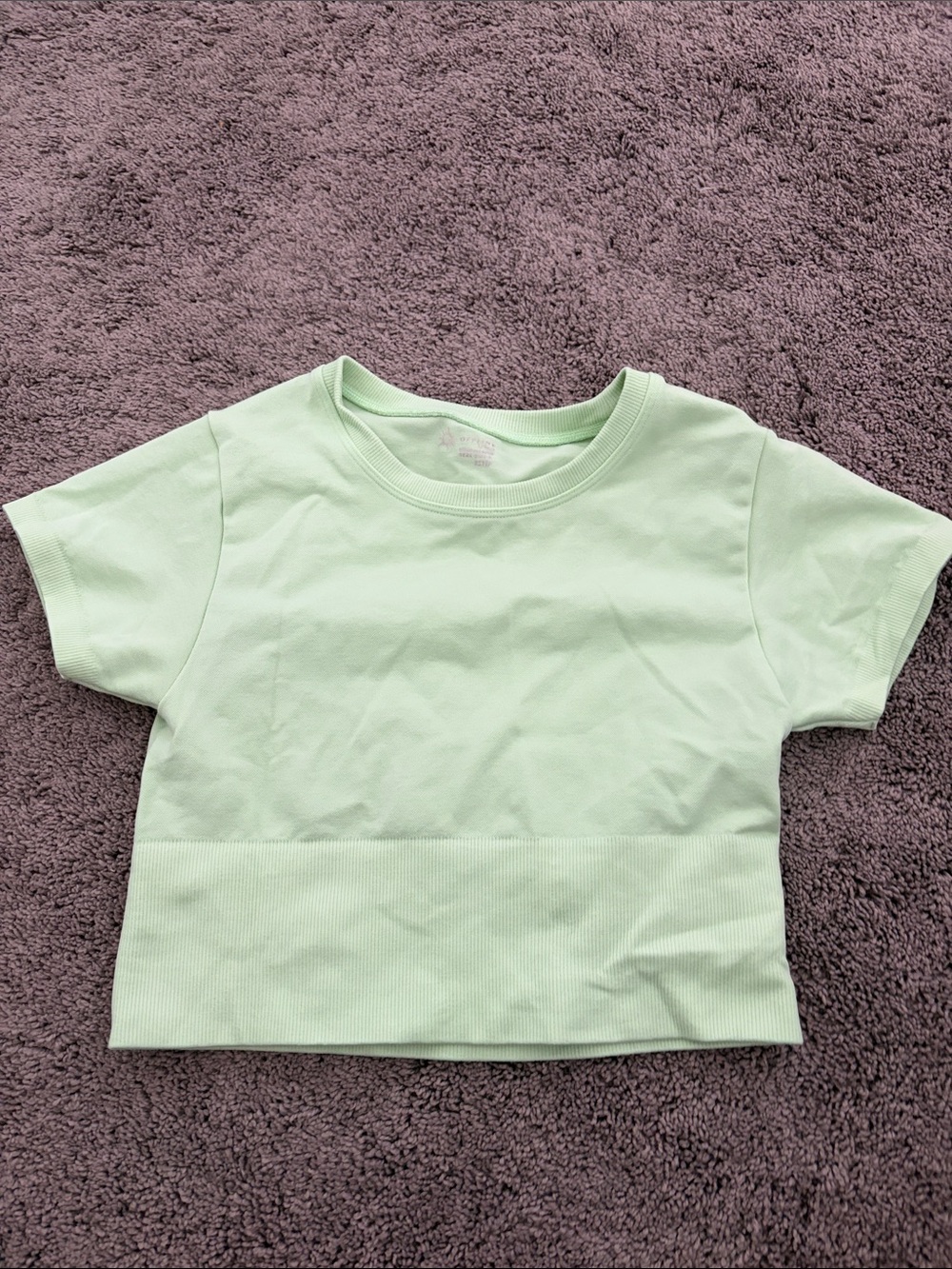 Offline Aerie Mint Green Ribbed Short Sleeve Crop Top